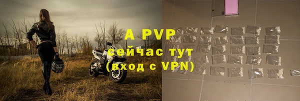 молекула духа Арсеньев