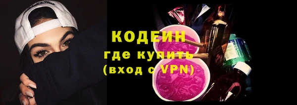 молекула духа Арсеньев