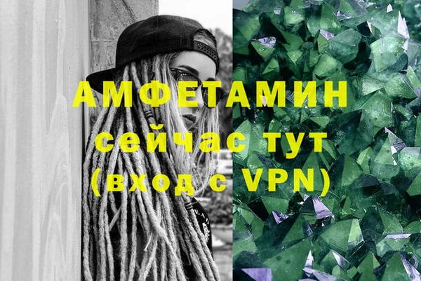 молекула духа Арсеньев