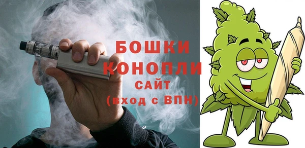 молекула духа Арсеньев
