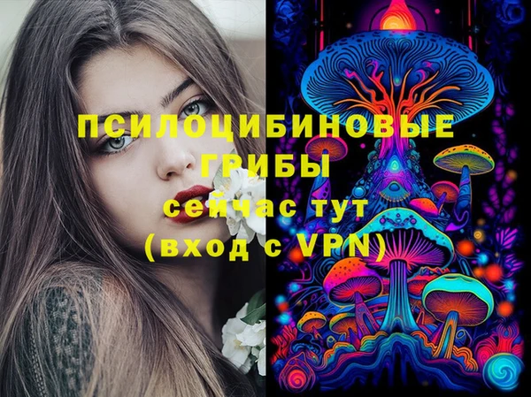 молекула духа Арсеньев