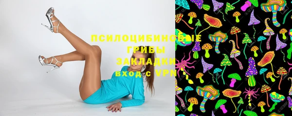 молекула духа Арсеньев