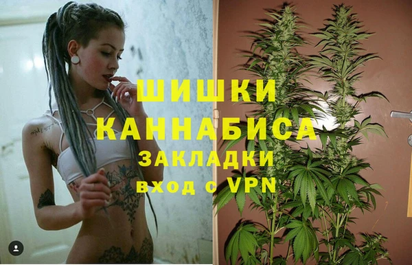 молекула духа Арсеньев