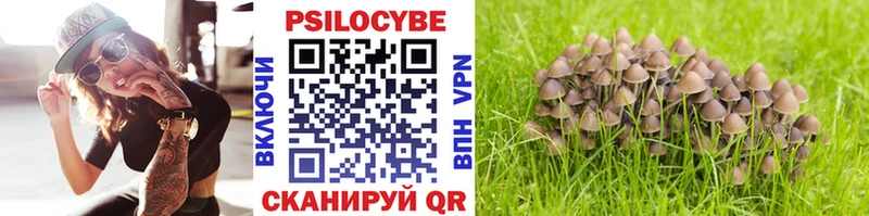 Псилоцибиновые грибы ЛСД  Балашов 